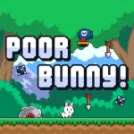 Play Poor Bunny Game